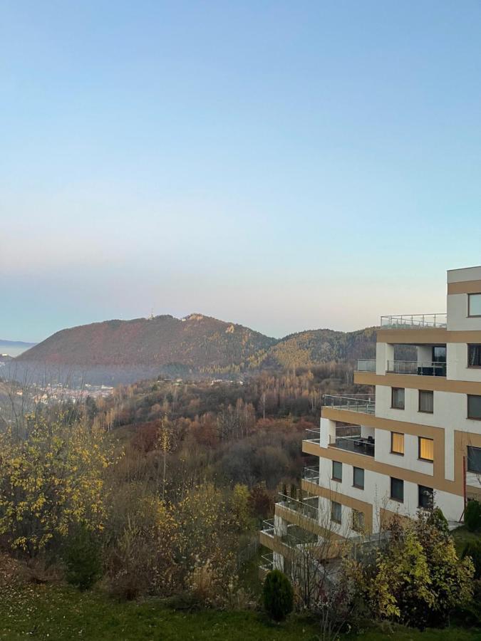 Sky View - Luxury Apartment With A Dream View Брашов Экстерьер фото